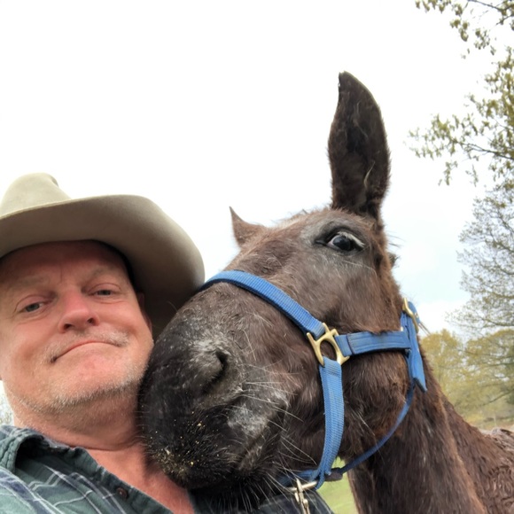 Meet your Posher, Jerry - Picture 2 of 3